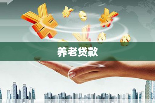 四湖养老贷款