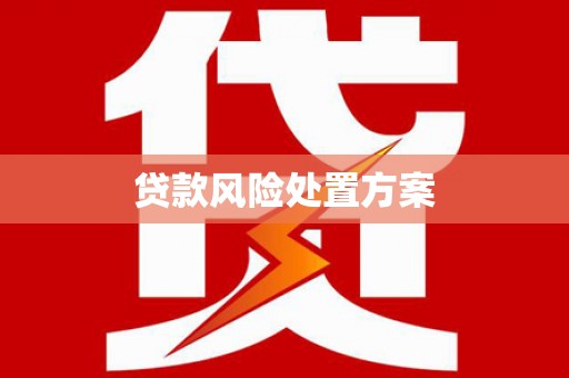 四湖贷款风险处置方案