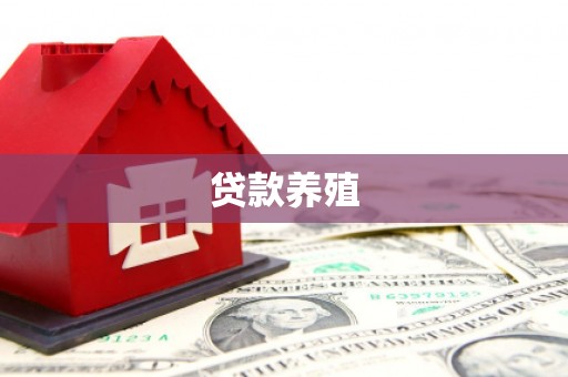 四湖贷款养殖