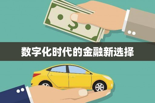 四湖数字化时代的金融新选择