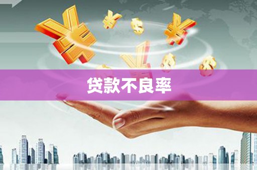 四湖贷款不良率