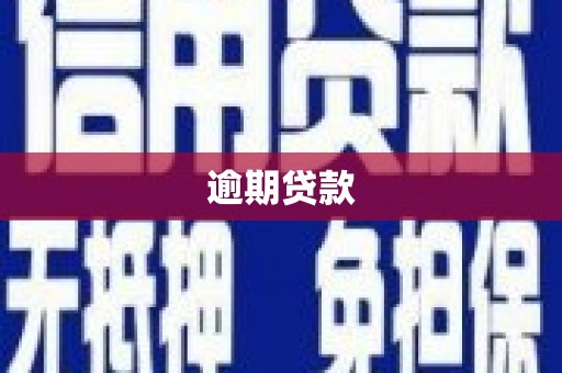 四湖逾期贷款