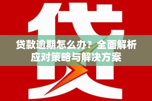 四湖贷款逾期怎么办？全面解析应对策略与解决方案