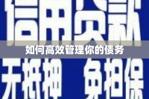 四湖如何高效管理你的债务