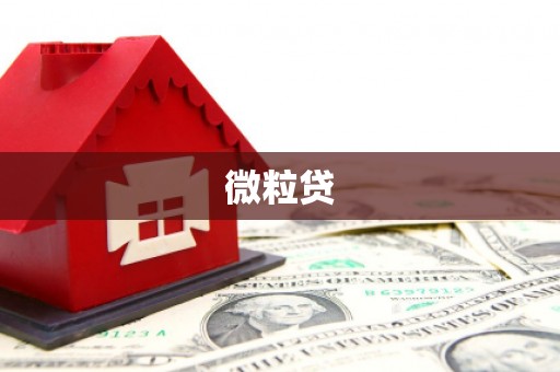 四湖微粒贷