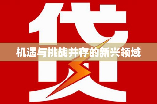 四湖机遇与挑战并存的新兴领域