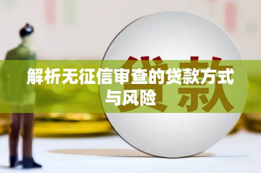 四湖解析无征信审查的贷款方式与风险