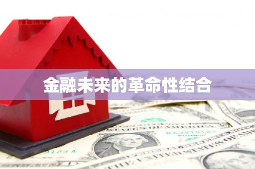 四湖金融未来的革命性结合