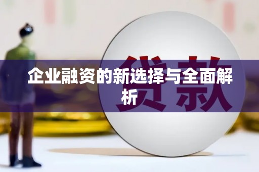 四湖企业融资的新选择与全面解析