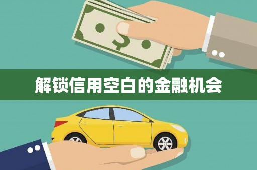 四湖解锁信用空白的金融机会