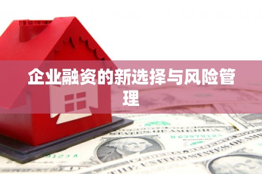 四湖企业融资的新选择与风险管理