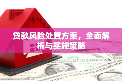 四湖贷款风险处置方案，全面解析与实施策略