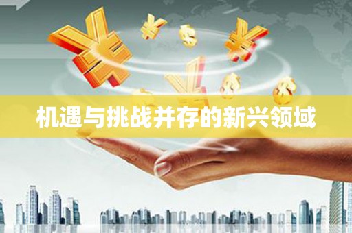 四湖机遇与挑战并存的新兴领域