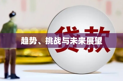 四湖趋势、挑战与未来展望