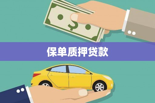 四湖保单质押贷款