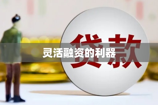 四湖灵活融资的利器