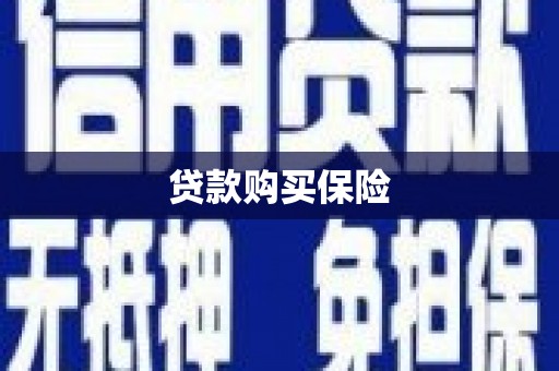 四湖贷款购买保险