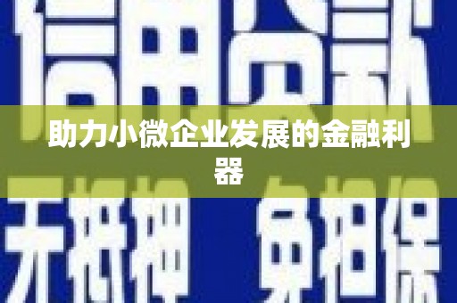 四湖助力小微企业发展的金融利器