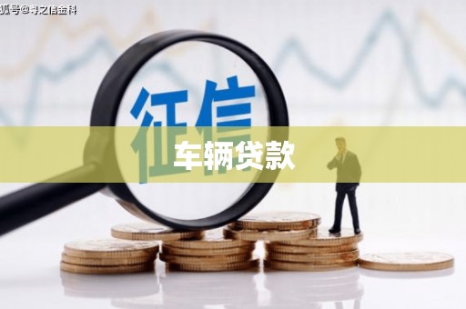 四湖车辆贷款
