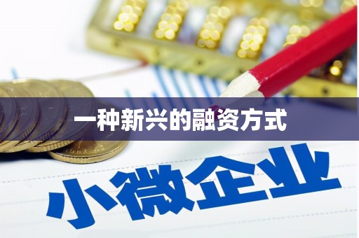 四湖一种新兴的融资方式