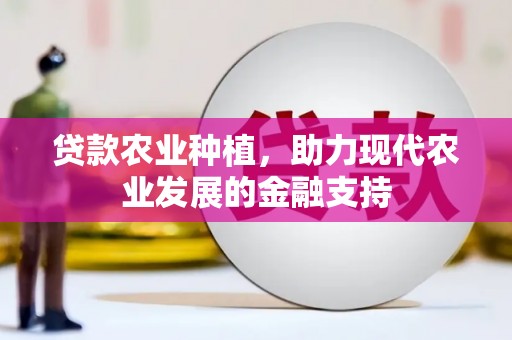 四湖贷款农业种植，助力现代农业发展的金融支持