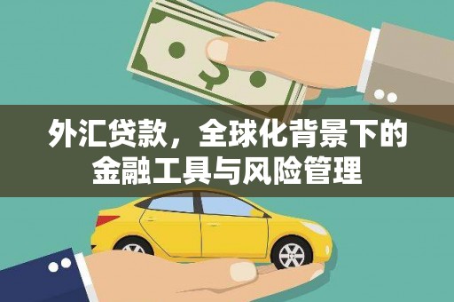 四湖外汇贷款，全球化背景下的金融工具与风险管理