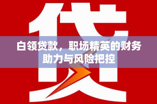 四湖白领贷款,职场精英的财务助力与风险把控 四湖白领贷款,职场精英的财务助力与风险把控