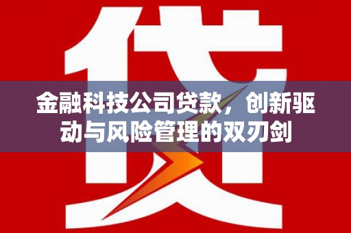四湖金融科技公司贷款，创新驱动与风险管理的双刃剑